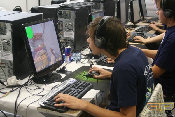 diNGo �� �������